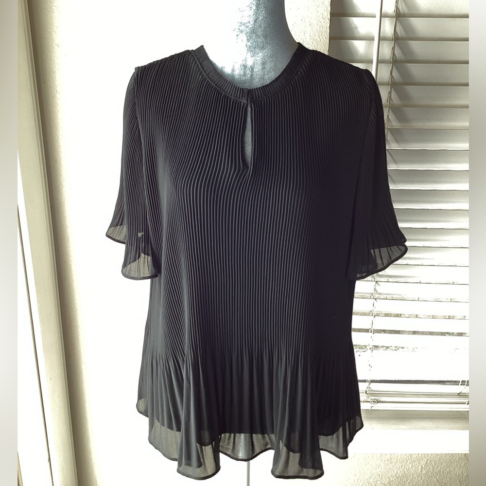 Ann Taylor Pleated Chiffon Blouse Size LP